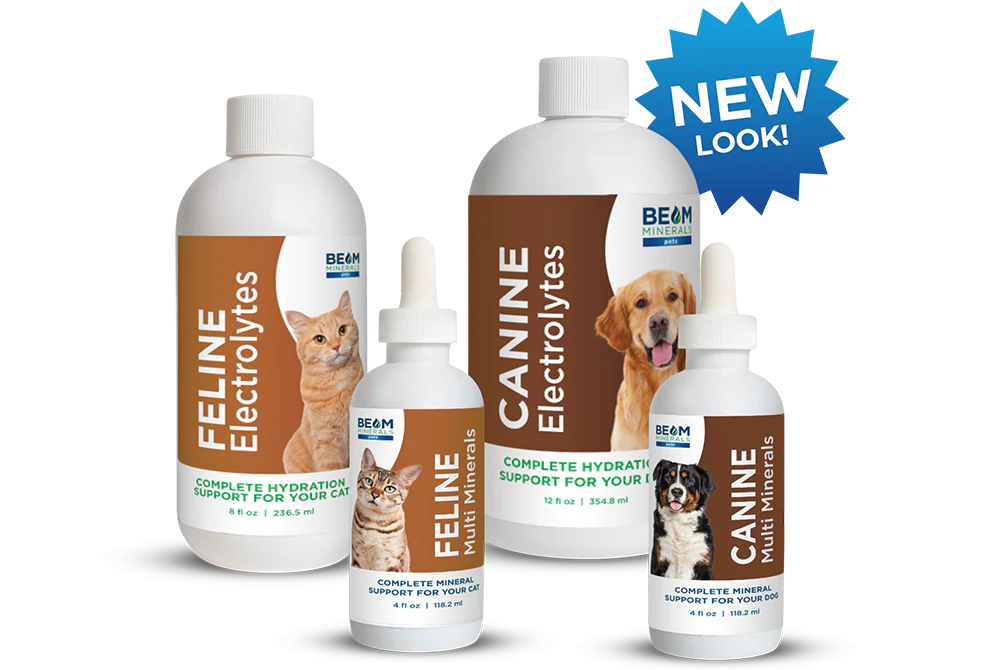 PET SUPPLEMENTS to Help Dogs & Cats Live Longer! Best Nutrition for Healthy Aging, Longevity, Lifespan