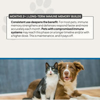 Thumbnail for Venjenz - MOTHERBOARD for Pets | Complete Immune Formula