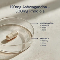 Thumbnail for Blueprint | Ashwagandha + Rhodiola (30 caps)