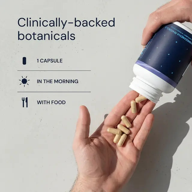 Blueprint | Ashwagandha + Rhodiola (30 caps)
