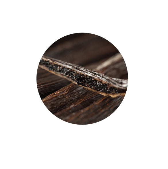 Living Libations Vanilla Essential Oil 2.5ml