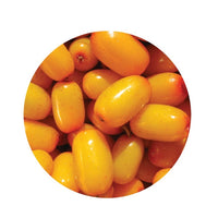 Thumbnail for Living Libations Seabuckthorn Berry Essential Oil (5ml)