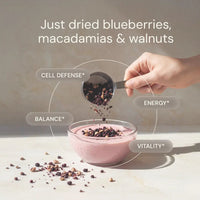 Thumbnail for Blueprint | Blueberry Nut Mix (440g)