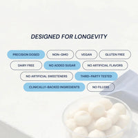 Thumbnail for Blueprint | Macadamia Protein Bars - Variety Pack (12x40g Bars) (Raspberry, White Cocoa Butter, Lemon)