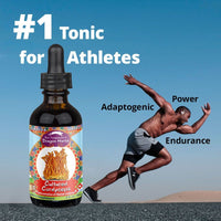 Thumbnail for Dragon Herbs Cultured Cordyceps Drops 2fl oz (60ml)