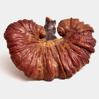 Thumbnail for Dragon Herbs Wild Red Reishi Mini Drops 0.25oz (7.5ml)
