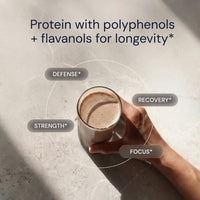 Thumbnail for Blueprint | Longevity Protein - Chocolate (1.5kg)