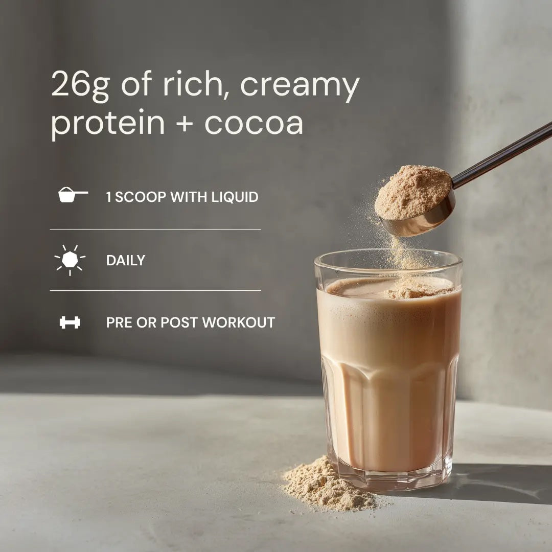 Blueprint | Longevity Protein - Chocolate (1.5kg)