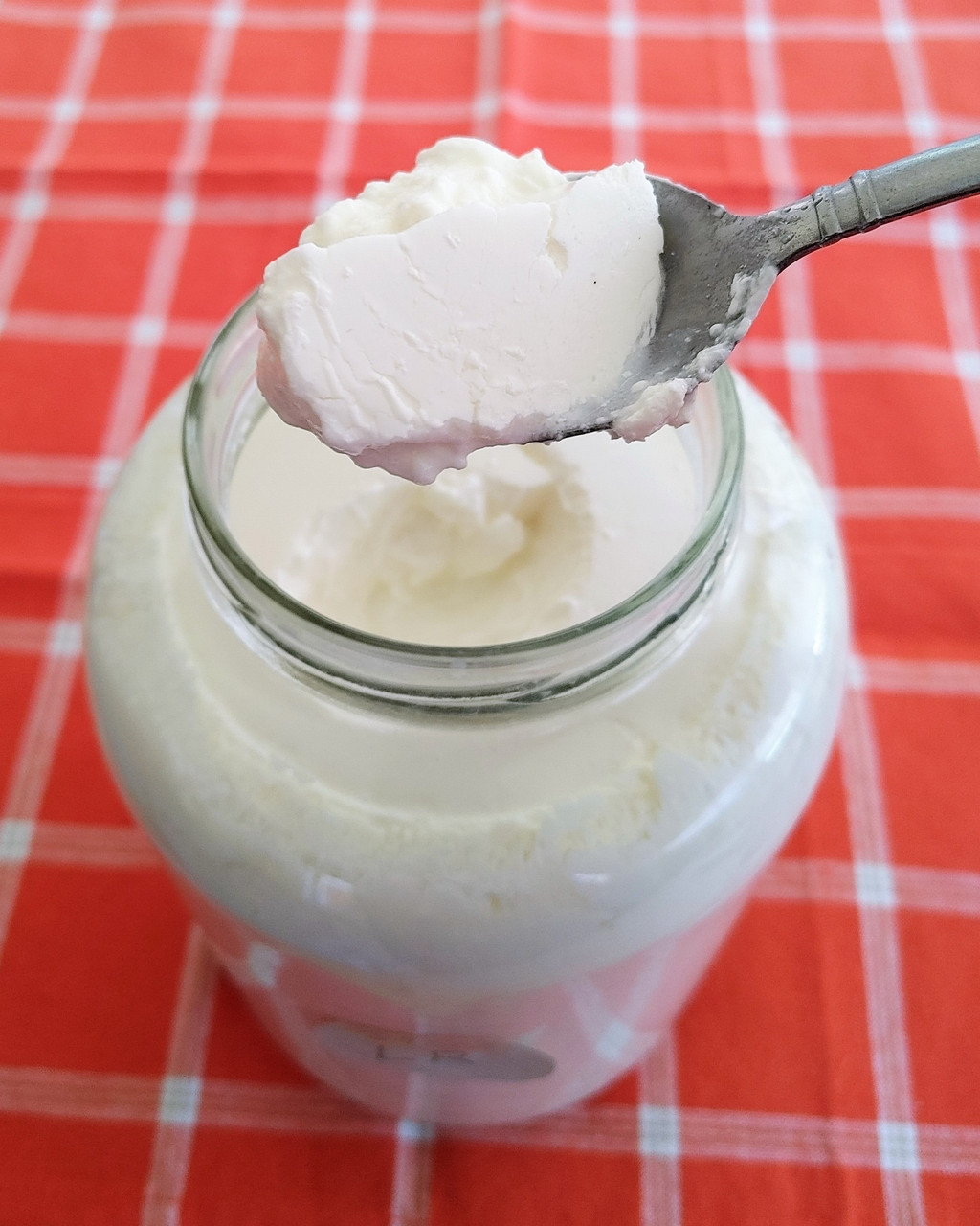 Cutting Edge Cultures |  LR Superfood Starter (to make L. Reuteri fermented dairy as discussed by Dr William Davis)