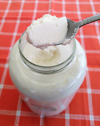 Thumbnail for Cutting Edge Cultures |  LR Superfood Starter (to make L. Reuteri fermented dairy as discussed by Dr William Davis)