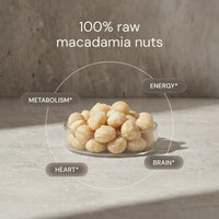 Thumbnail for Blueprint | Raw Macadamias (113g)