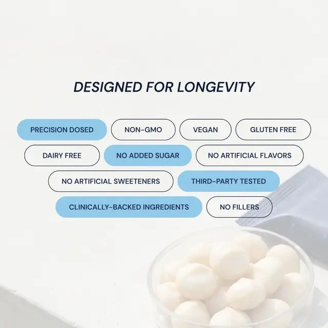 Blueprint | Macadamia Protein Bars - White Cocoa Butter (12x40g Bars)
