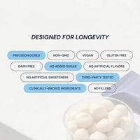 Thumbnail for Blueprint | Macadamia Protein Bars - White Cocoa Butter (12x40g Bars)
