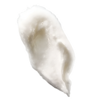Thumbnail for Young Goose - NiaPolish, NAD+ Boosting 3D Exfoliator (50ml)
