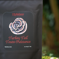 Thumbnail for Nyishar - Turkey Tail Toute-Puissance - 100g