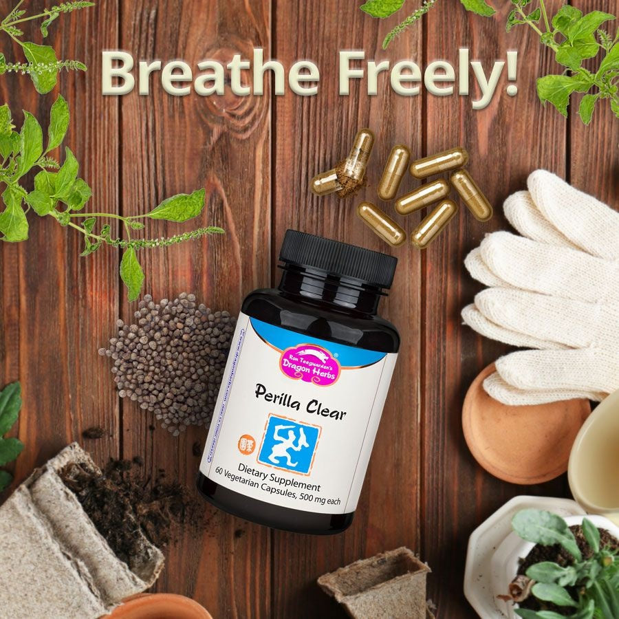 Dragon Herbs Perilla Clear Breathe Freely 60caps 500mg