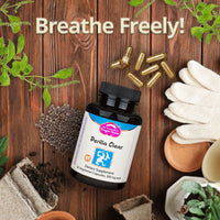 Thumbnail for Dragon Herbs Perilla Clear Breathe Freely 60caps 500mg