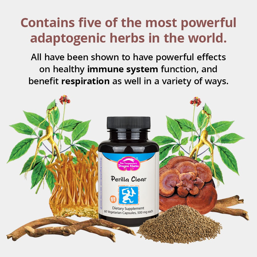 Dragon Herbs Perilla Clear Breathe Freely 60caps 500mg