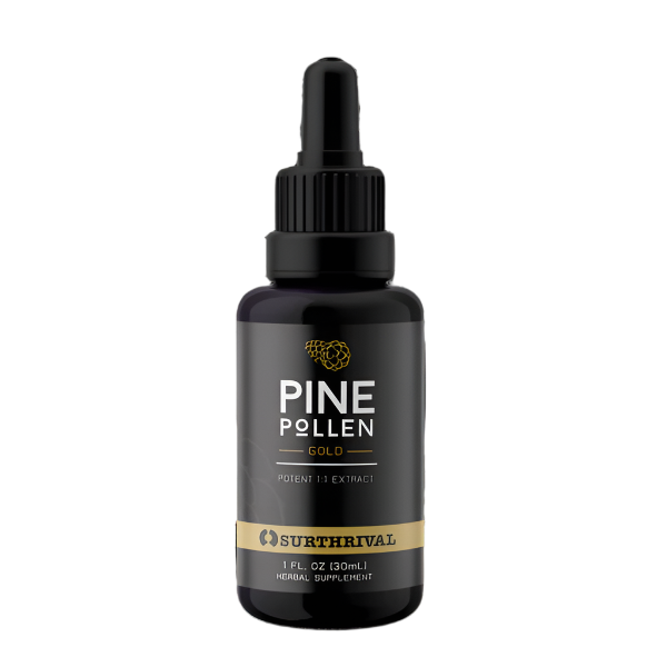Surthrival Perpetual Youth Pine Pollen (Gold - Mega Nutrition Elixir 1 FL OZ)