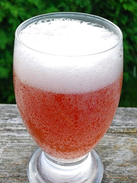 Thumbnail for Cutting Edge Cultures | Kefir Soda Starter