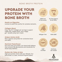 Thumbnail for Ancestral Supplements - Ancestral Protein Powder 744g Chocolate