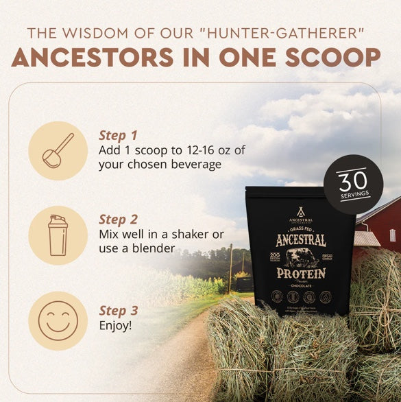 Ancestral Supplements - Ancestral Protein Powder 744g Chocolate