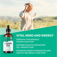 Thumbnail for Vimergy Herbs - Liquid B12 (115ml)