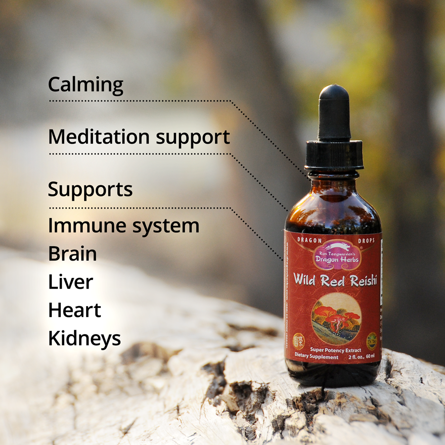 Dragon Herbs Wild Red Reishi Mini Drops 0.25oz (7.5ml)