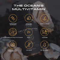 Thumbnail for Best Before June 2025 - APE Nutrition - Celtic Oysters 120 caps