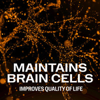 Thumbnail for Vimergy Herbs - Brain Body Memory 44.5g (Citicoline, Magnesium Glycinate, B12)