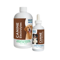 Thumbnail for Beam Minerals - Advanced Canine Mineral and Electrolyte Replenishment Set (Canine Multi Minerals & Electrolytes)