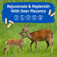 Thumbnail for Dragon Herbs Deer Placenta 60caps 500mg