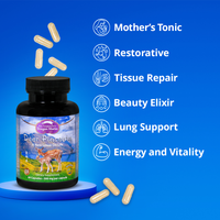 Thumbnail for Dragon Herbs Deer Placenta 60caps 500mg