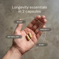 Thumbnail for Blueprint | Essential Capsules (60 caps)