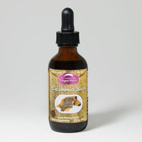 Thumbnail for Dragon Herbs Eucommia Drops 2fl oz (60ml)