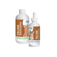 Thumbnail for BEAM Minerals - Advanced Feline Mineral and Electrolyte Replenishment Set (Feline Multi Minerals & Electrolytes)