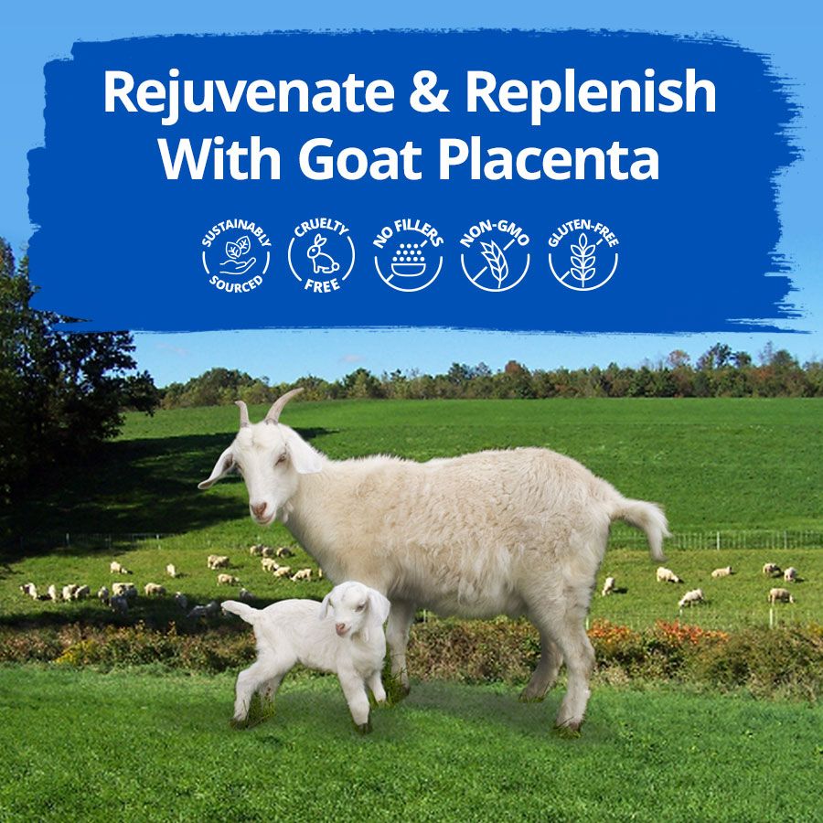 Dragon Herbs Goat Placenta 60caps (500mg)