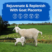 Thumbnail for Dragon Herbs Goat Placenta 60caps (500mg)