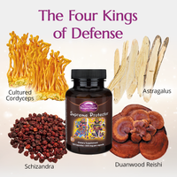 Thumbnail for Dragon Herbs Supreme Protector 100 Capsules 450 mg each