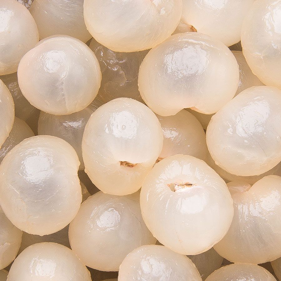 Dragon Herbs Longan Fruit 170g