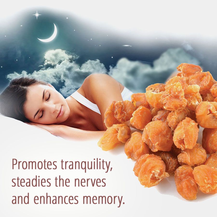 Dragon Herbs Longan Fruit 170g