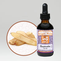 Thumbnail for Dragon Herbs - Gastrodia Drops 2floz