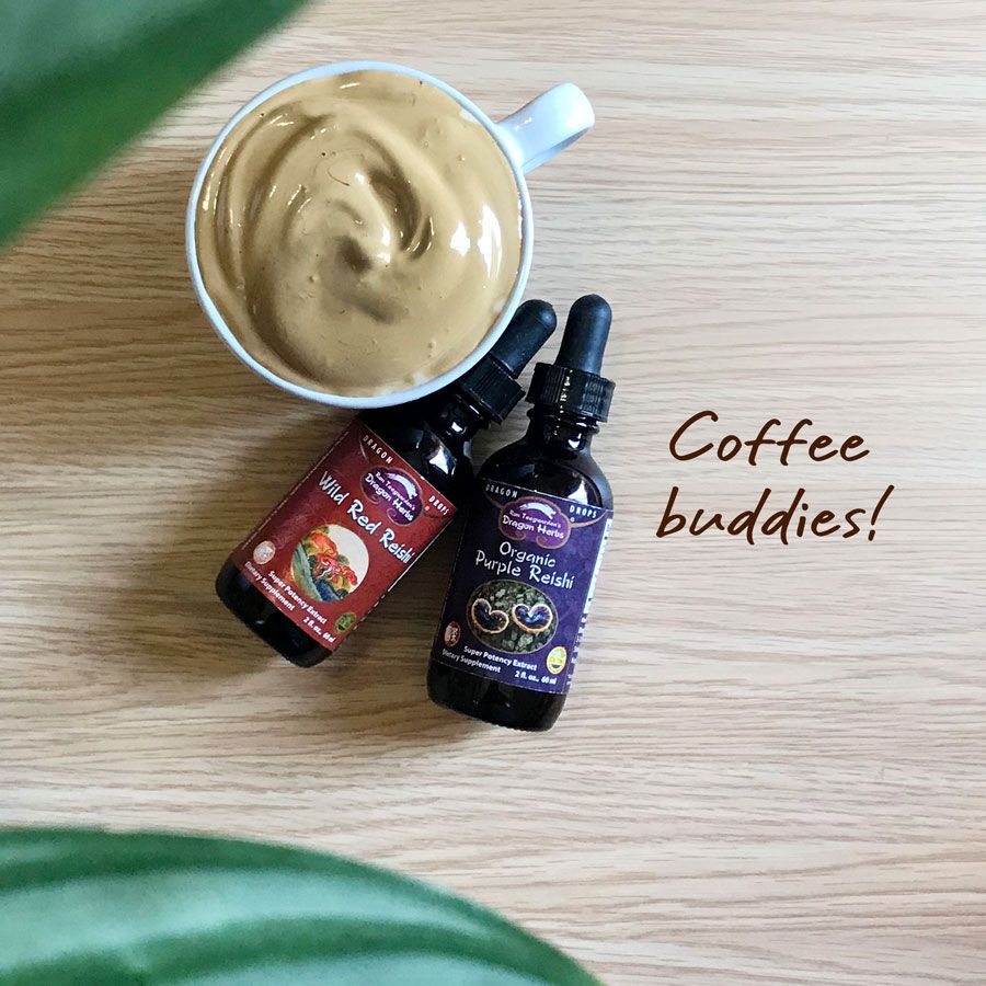 Dragon Herbs Purple Reishi Drops 2fl oz (60ml)