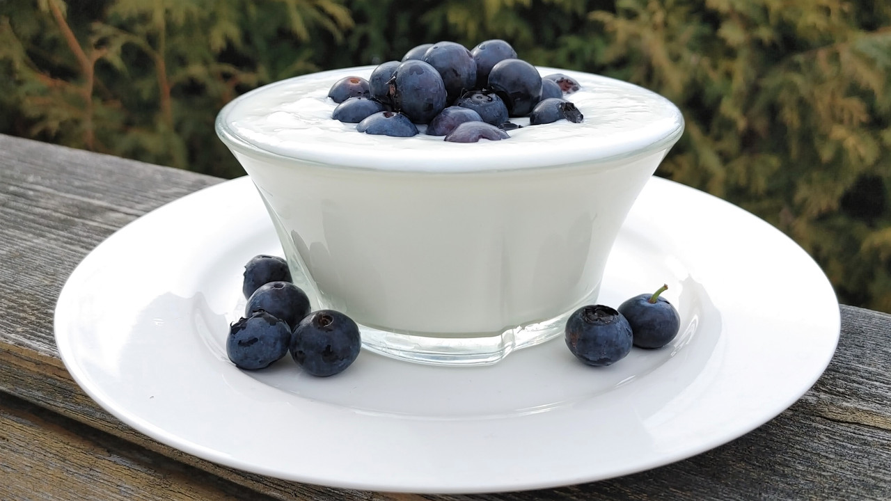 Cutting Edge Cultures | L. Gasseri Superfood Starter