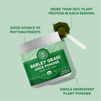 Thumbnail for Vimergy Herbs - USDA Organic Barleygrass Juice Extract Powder 500g