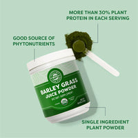 Thumbnail for Vimergy Herbs - USDA Organic Barleygrass Juice Extract Powder 250g