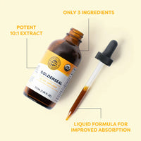 Thumbnail for Vimergy Herbs Goldenseal 10:1 (115ml)