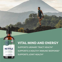 Thumbnail for Vimergy Herbs - Organic Nettle 115ml