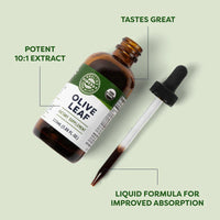 Thumbnail for Vimergy Herbs - Olive Leaf 115ml