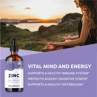 Thumbnail for Vimergy Herbs - Organic Zinc Sulfate 115ml